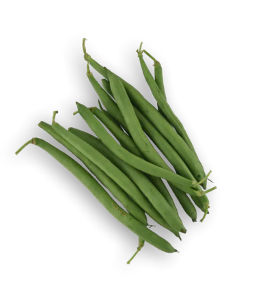 Green beans 1 LBS